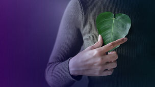 zenska ruka drziaca list rastliny