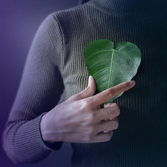 zenska ruka drzi list rastliny