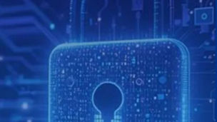 cyber-schloss