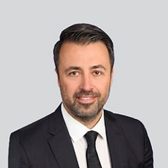 David L. Francescucci