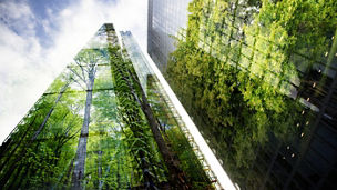 Ilustrační obrázek