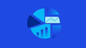 Diligence Plus – Illustration of a graph