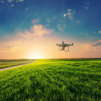 Drone quad copter on green corn field