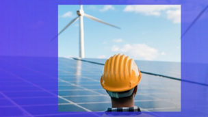 Engineer looking at solar panels