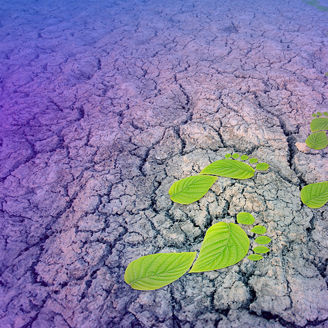 Bätter als Fußabdruck angeordnet