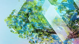 ESG and Tax Governance