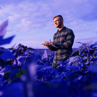 Fenntartható mezőgazdaság