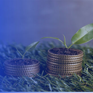ESG assurance