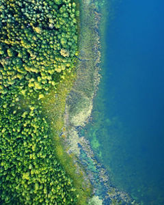 Island forest ocean