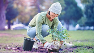 woman putting a plant in the ground
