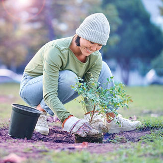woman putting a plant in the ground