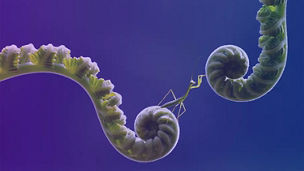 esg risk survey for banks 2024 banner