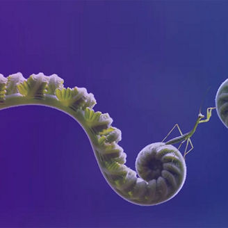 esg risk survey for banks 2024 banner