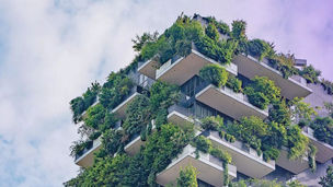 Begrünte Hausfassade