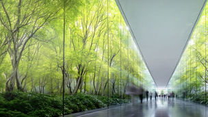 A glass-roofed walkway lined with trees