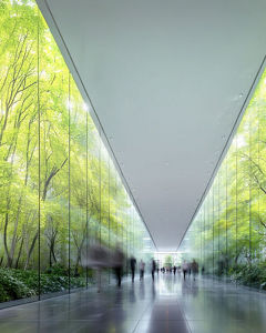 A glass-roofed walkway lined with trees