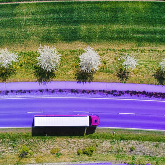 strasse-lkw-wiese