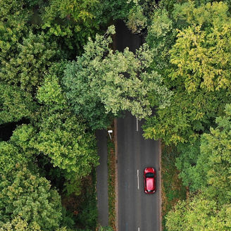 Grüner Wald mit rotem Auto senkrecht von oben - Luftaufnahme - Co2 frei - null emissionen - elektromobilität