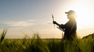 VIII Estudio del Sector Agroalimentario de Andalucía