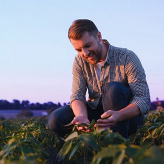 Farmer looking at cropland