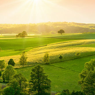 Farmland Topview