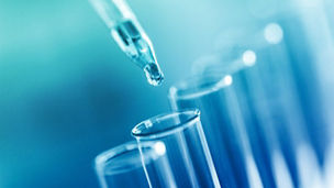 Lab.
