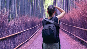 Female photographer in Kyoto Bamboo Forest Banner