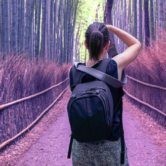 Female photographer in Kyoto Bamboo Forest Banner