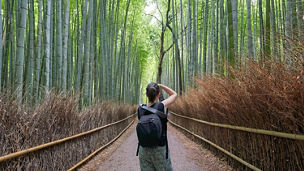 Female photographer in Kyoto Bamboo Forest