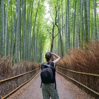 Female photographer in Kyoto Bamboo Forest