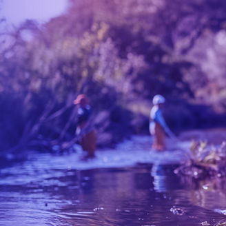 Few people cleaning a river banner