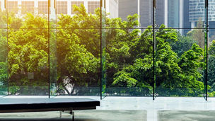park view reflecting from a building