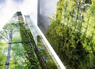 tree reflections on building