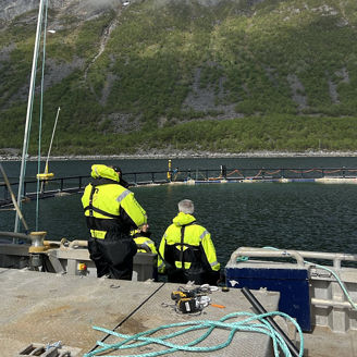 to personer ser på en laksemerd ved en fjord 