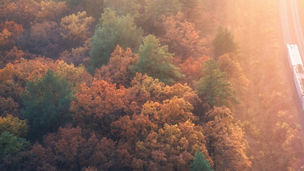Vue aérienne du train