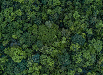 KPMG Net Zero Readiness Index 2021