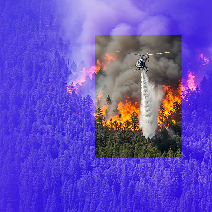 Forest fire banner