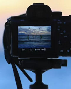 Finance & Treasury Management