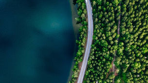 Eine Luftaufnahme einer Straße, die sich durch einen dichten Wald schlängelt und an einem großen Gewässer entlangführt.