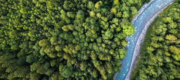 fluss durch den wald vogelperspektive