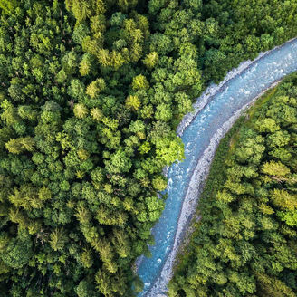 Eine Luftaufnahme eines dichten Waldes mit einem Fluss, der sich durch die Landschaft schlängelt.
