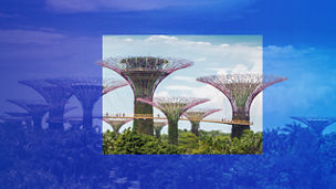 Singapore Gardens by the bay