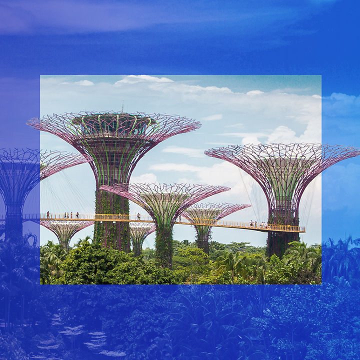 Singapore Gardens by the bay