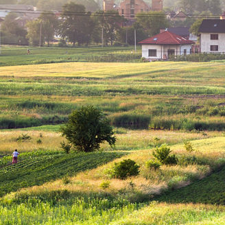 Gartengrundstück mit Wohnhäuser