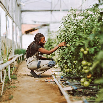 girl-checking-fruit-in-polyfarm