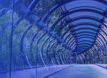 glass tunnel with trees around