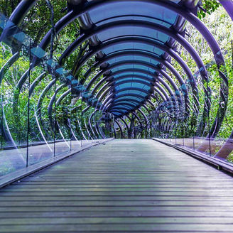 glass-tunnel-with-trees-around