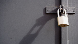 Ciberseguridad: cuestión de supervivencia