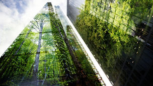 green city - double exposure of lush green forest and modern skyscrapers windows
