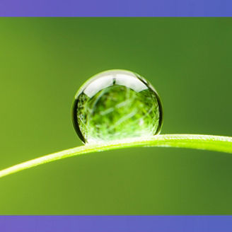 ESG & Compliance Conference
